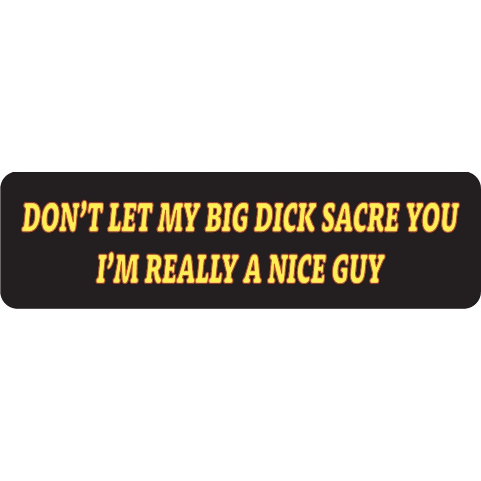 Don't let my big dick scare you I'm really a nice guy vinyl motorcycle helmet sticker - funny biker decal