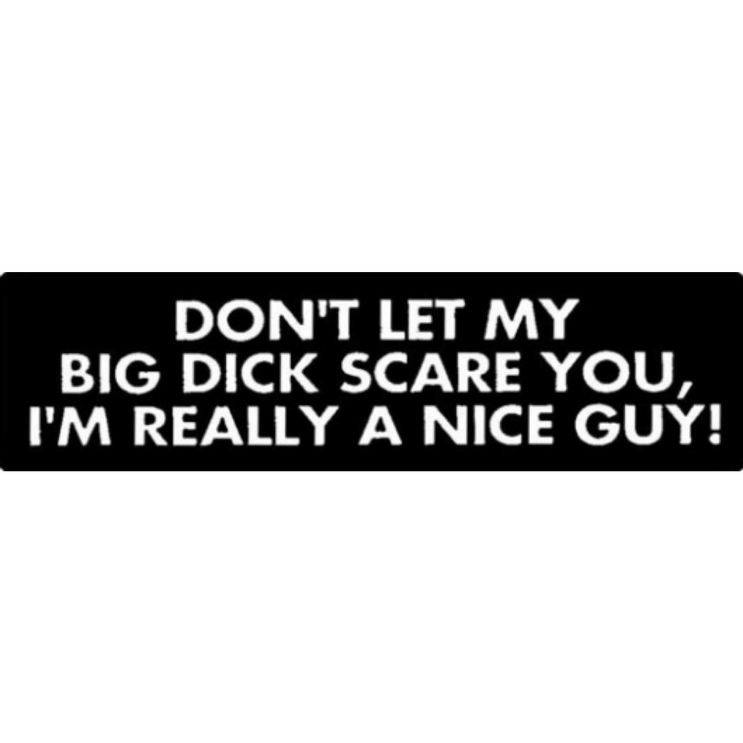 Don't let my big dick scare you I'm really a nice guy vinyl motorcycle helmet stickers - funny biker decal