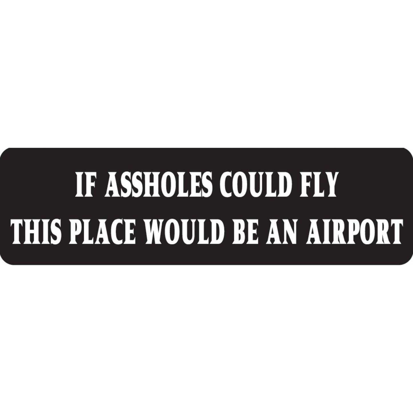 If assholes could fly this place would be an airport vinyl motorcycle helmet sticker - funny biker decal