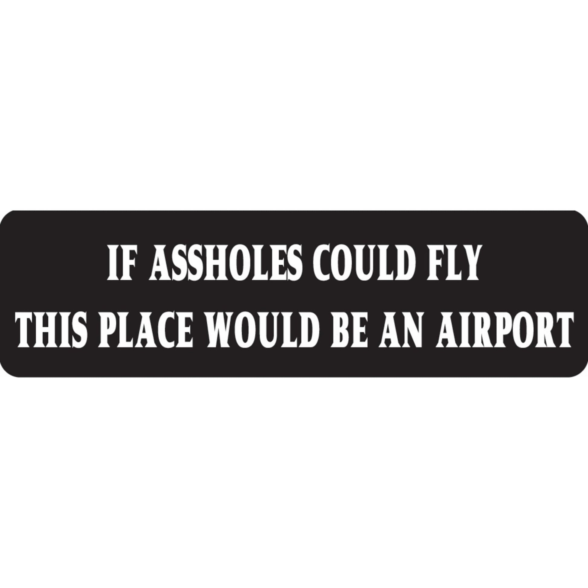 If assholes could fly this place would be an airport vinyl motorcycle helmet sticker - funny biker decal