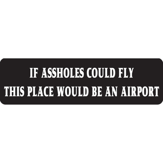 If assholes could fly this place would be an airport vinyl motorcycle helmet sticker - funny biker decal
