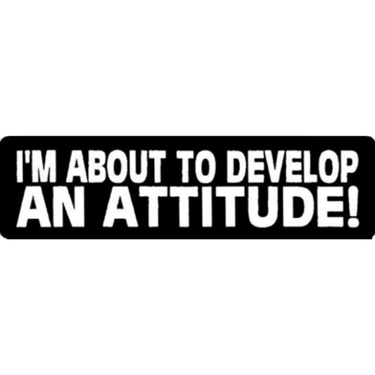 I'm about to develop an attitude vinyl motorcycle helmet stickers - funny biker decal