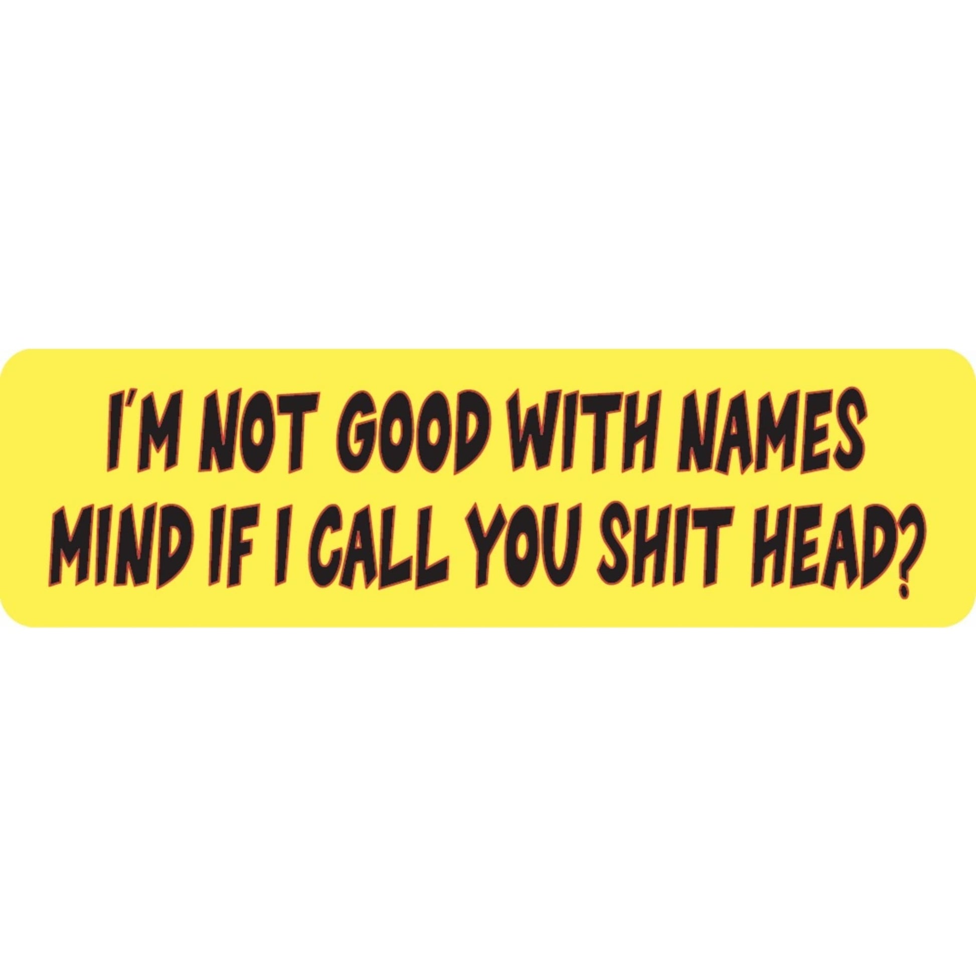 I'm not good with names mind if I call you shithead vinyl motorcycle helmet sticker - funny biker decal