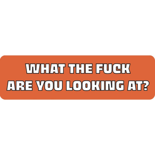 What the fuck are you looking at vinyl motorcycle helmet sticker - bold biker decal