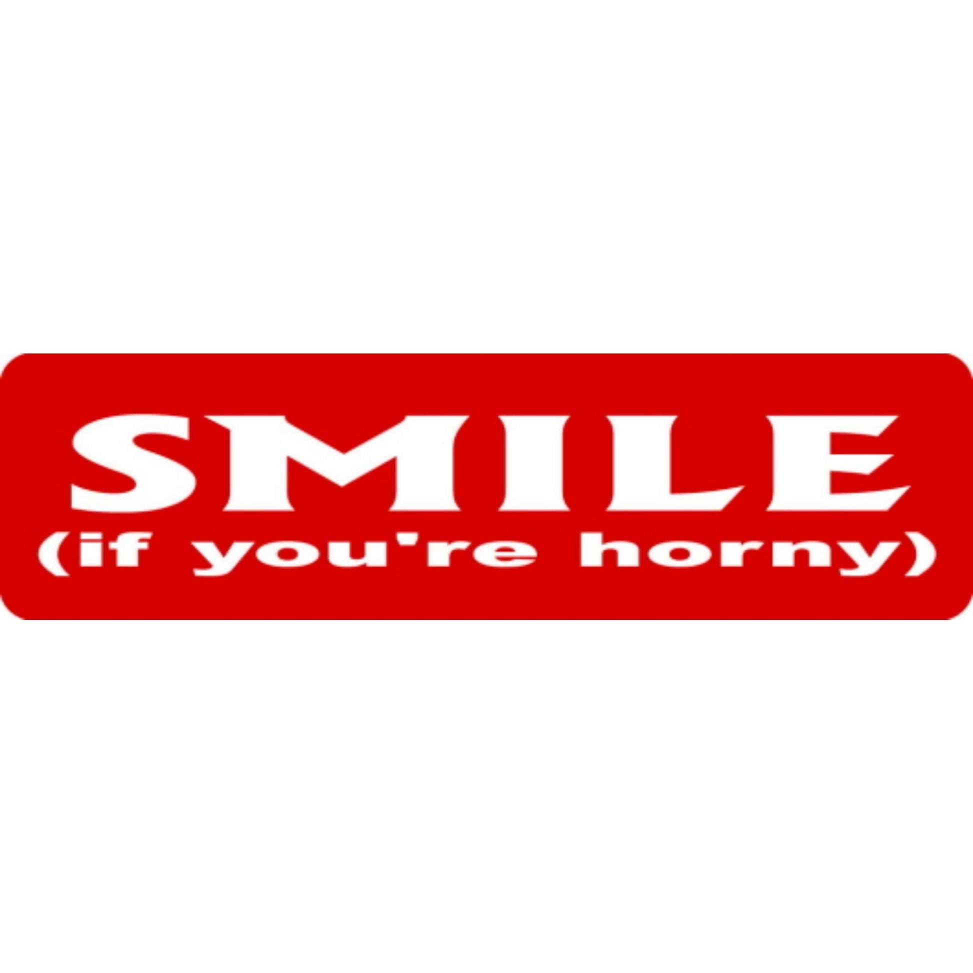 Smile if you're horny vinyl motorcycle helmet stickers - funny biker decal