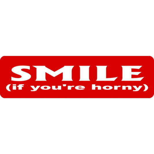 Smile if you're horny vinyl motorcycle helmet stickers - funny biker decal