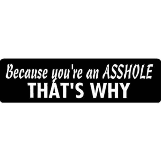 Because you're an asshole that's why vinyl motorcycle helmet stickers - funny biker decal