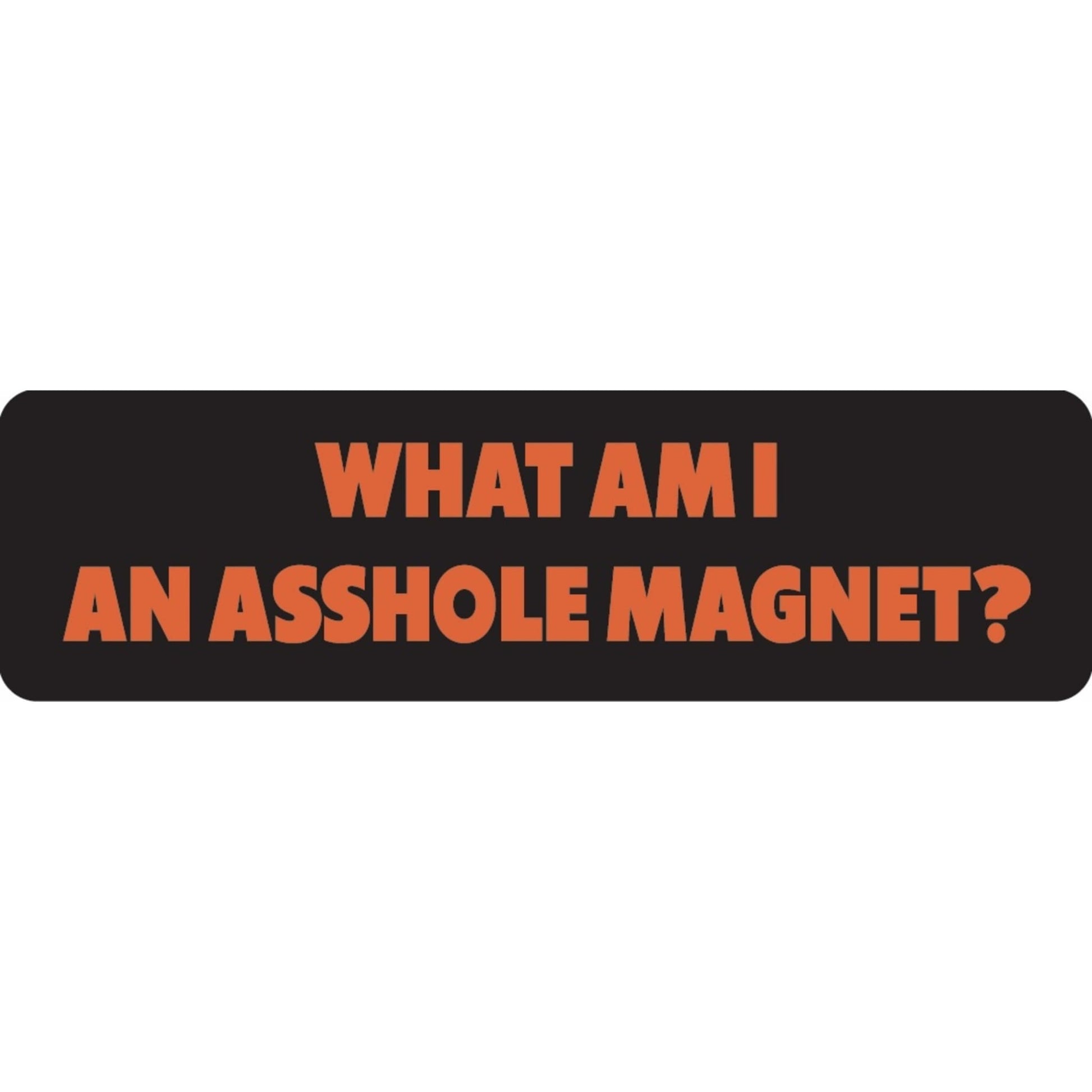 What am I an asshole magnet vinyl motorcycle helmet sticker - funny biker decal