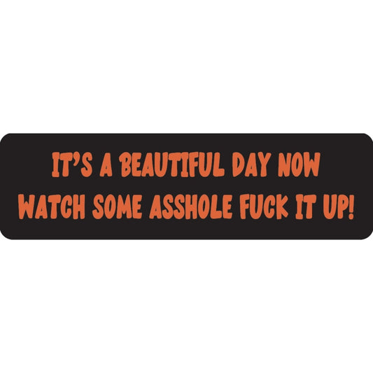 It's a beautiful day now watch some asshole fuck it up vinyl motorcycle helmet sticker - funny biker decal
