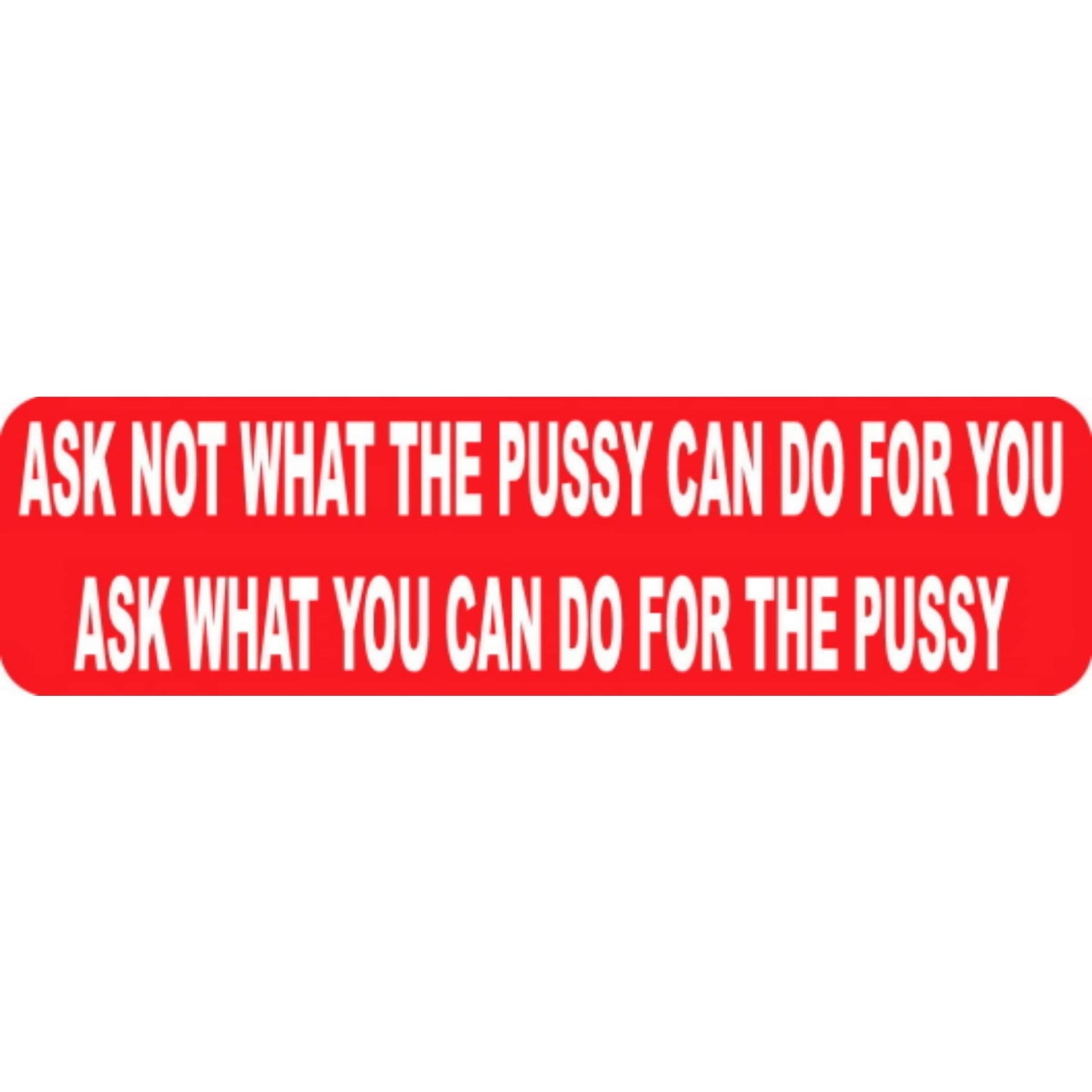Ask not what the pussy can do for you ask what you can do for the pussy vinyl motorcycle helmet stickers - bold biker decal