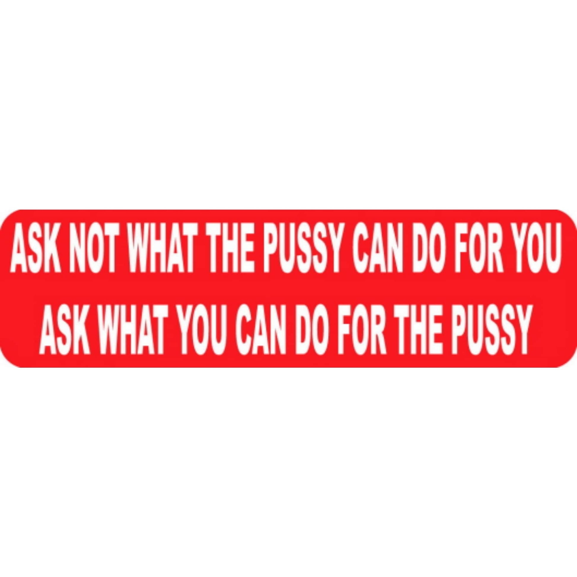 Ask not what the pussy can do for you ask what you can do for the pussy vinyl motorcycle helmet stickers - bold biker decal
