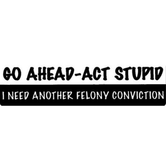 Go Ahead Act Stupid I Need Another Felony Conviction Motorcycle Helmet Sticker