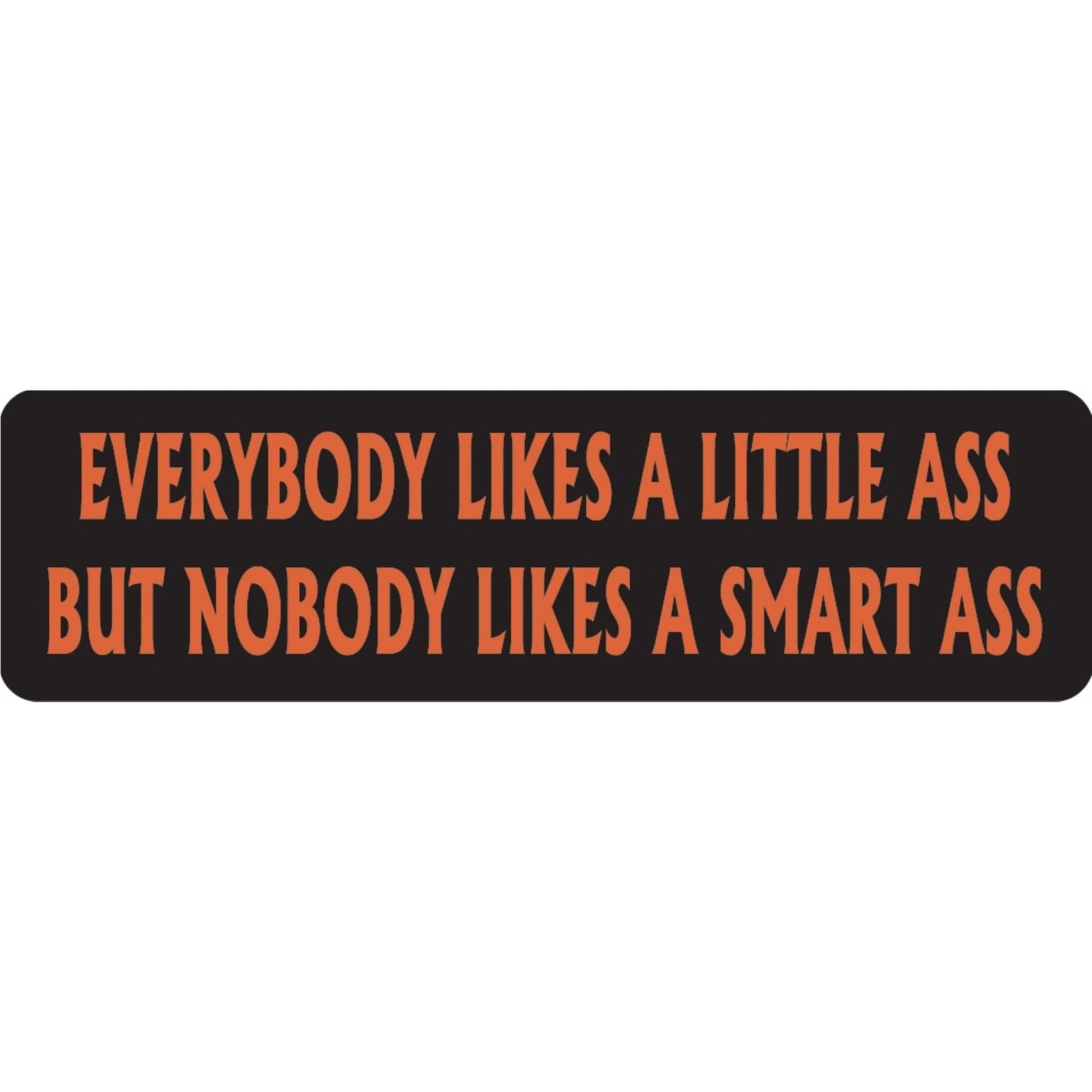 Everybody likes a little ass but nobody likes a smart ass vinyl motorcycle helmet sticker - funny biker decal