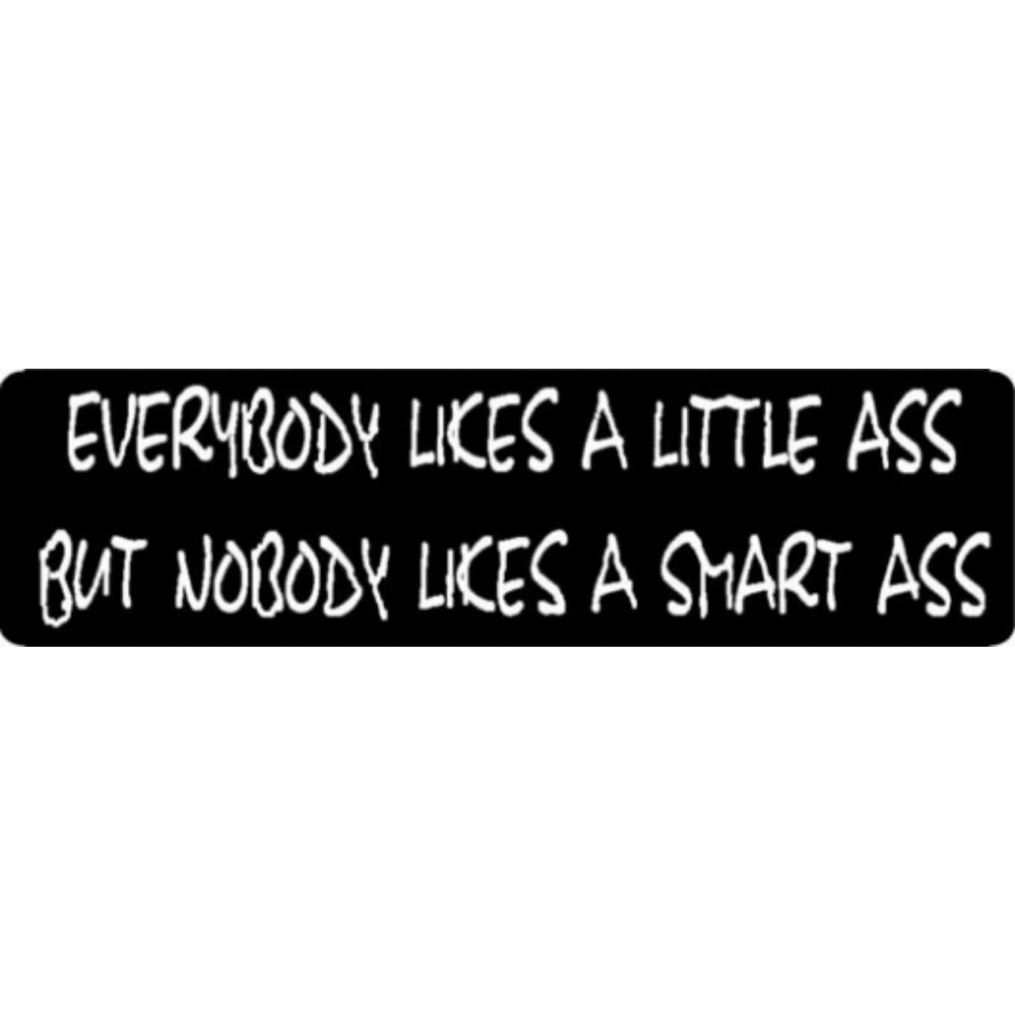 Everybody likes a little ass but nobody likes a smart ass vinyl motorcycle helmet stickers - funny biker decal