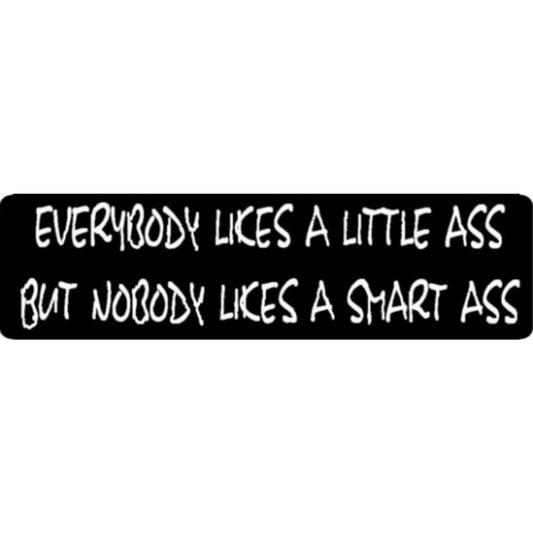 Everybody likes a little ass but nobody likes a smart ass vinyl motorcycle helmet stickers - funny biker decal