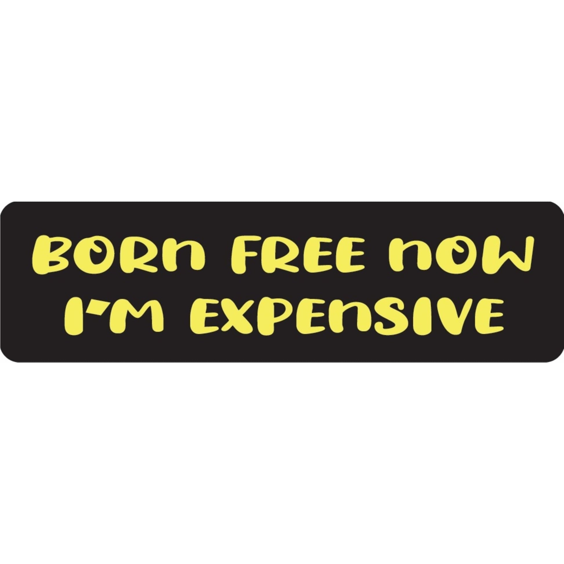 Born free now I'm expensive vinyl motorcycle helmet sticker - funny biker decal