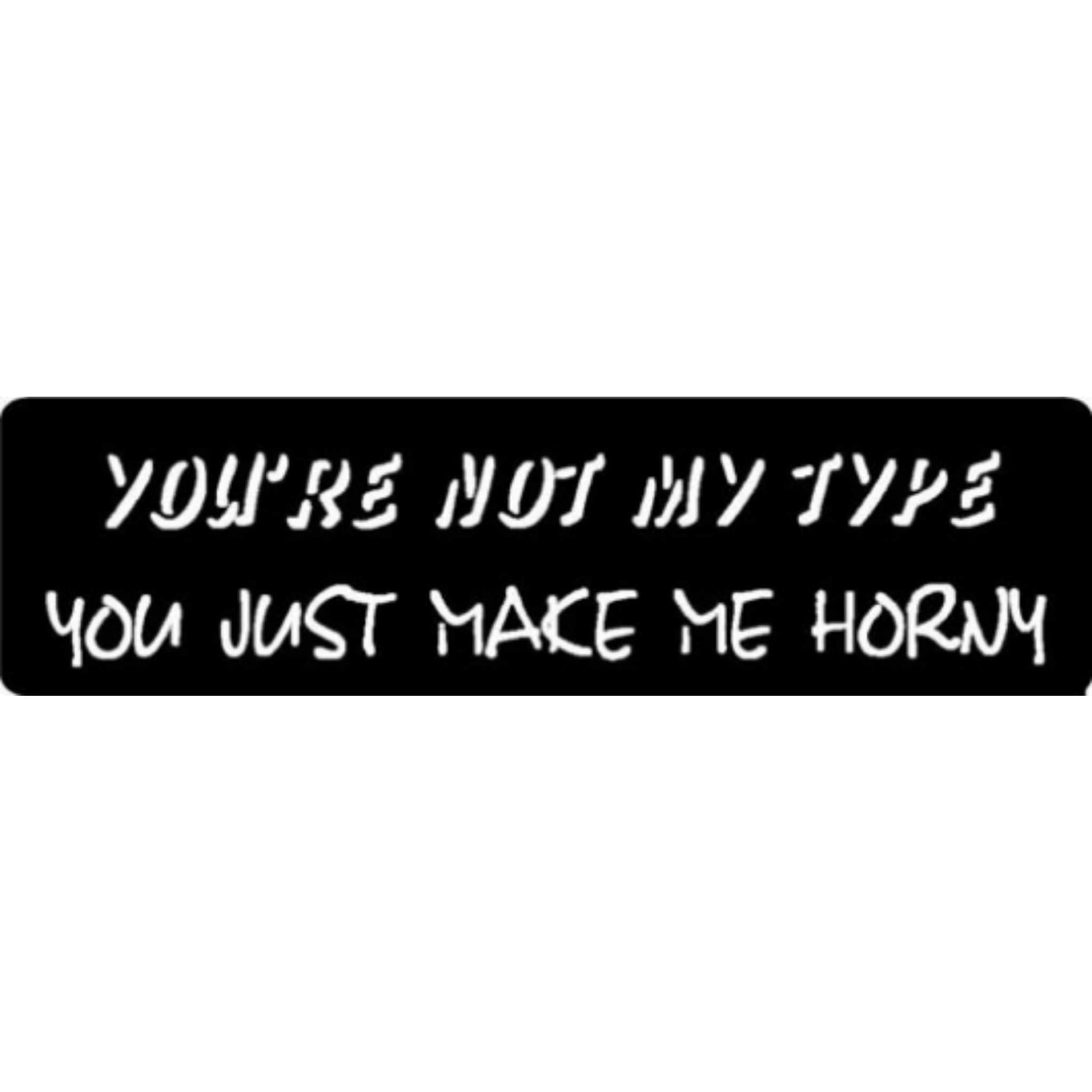 You're not my type you just make me horny vinyl motorcycle helmet stickers - bold biker decal