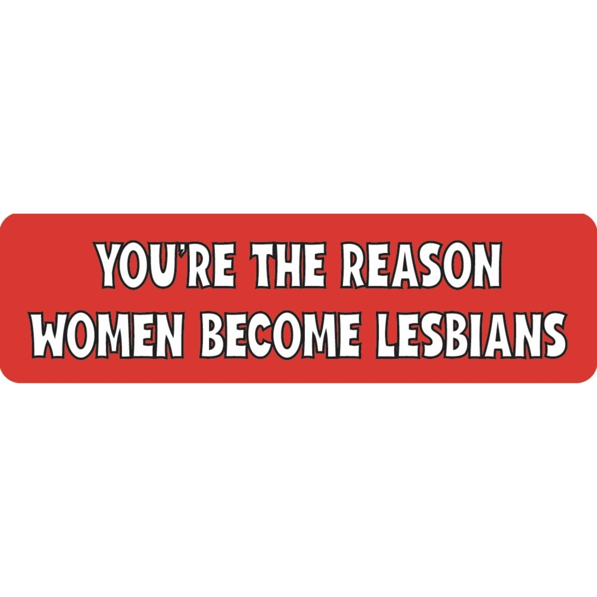 You're the reason women become lesbians vinyl motorcycle helmet sticker - funny biker decal