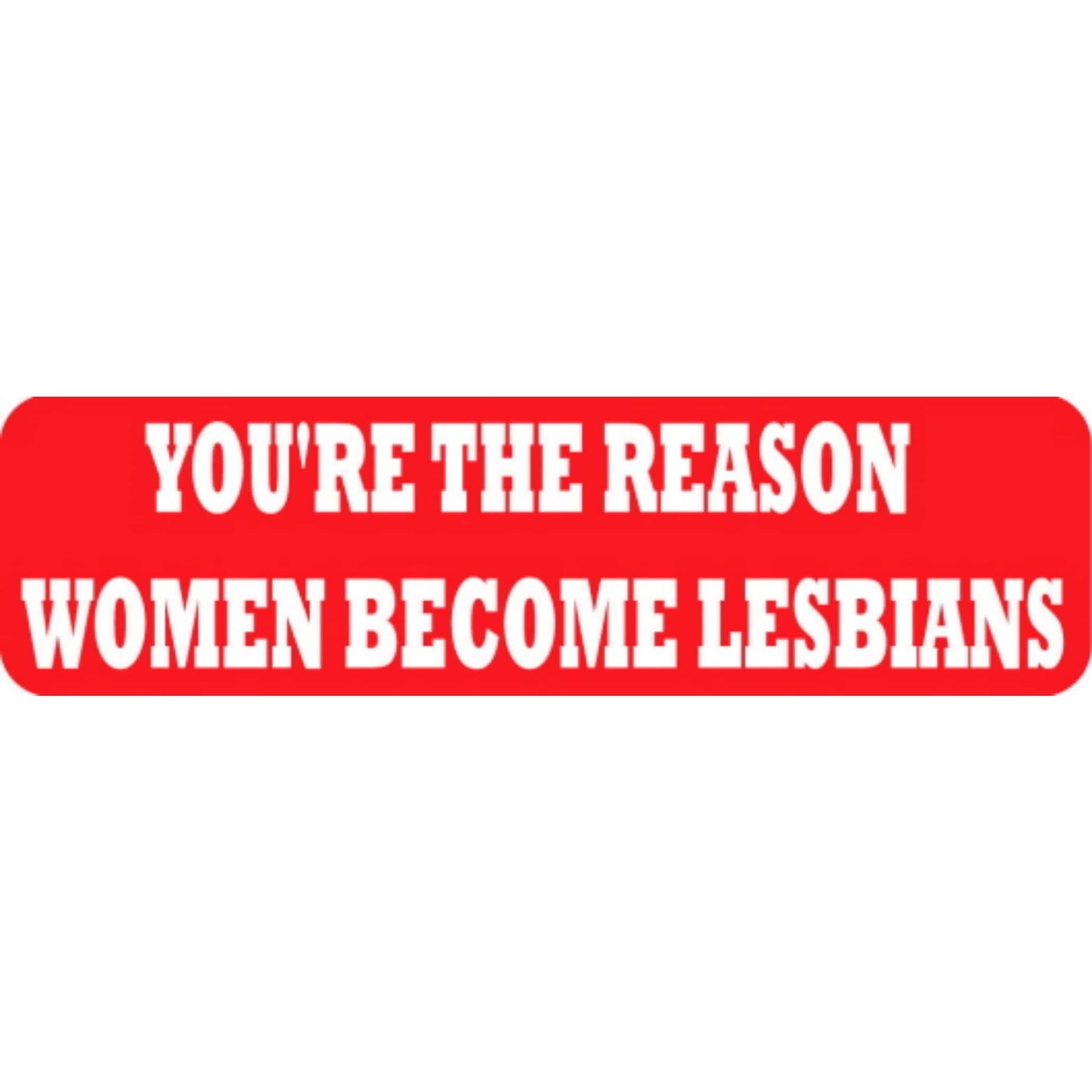 You're the reason women become lesbians vinyl motorcycle helmet stickers - funny biker decal