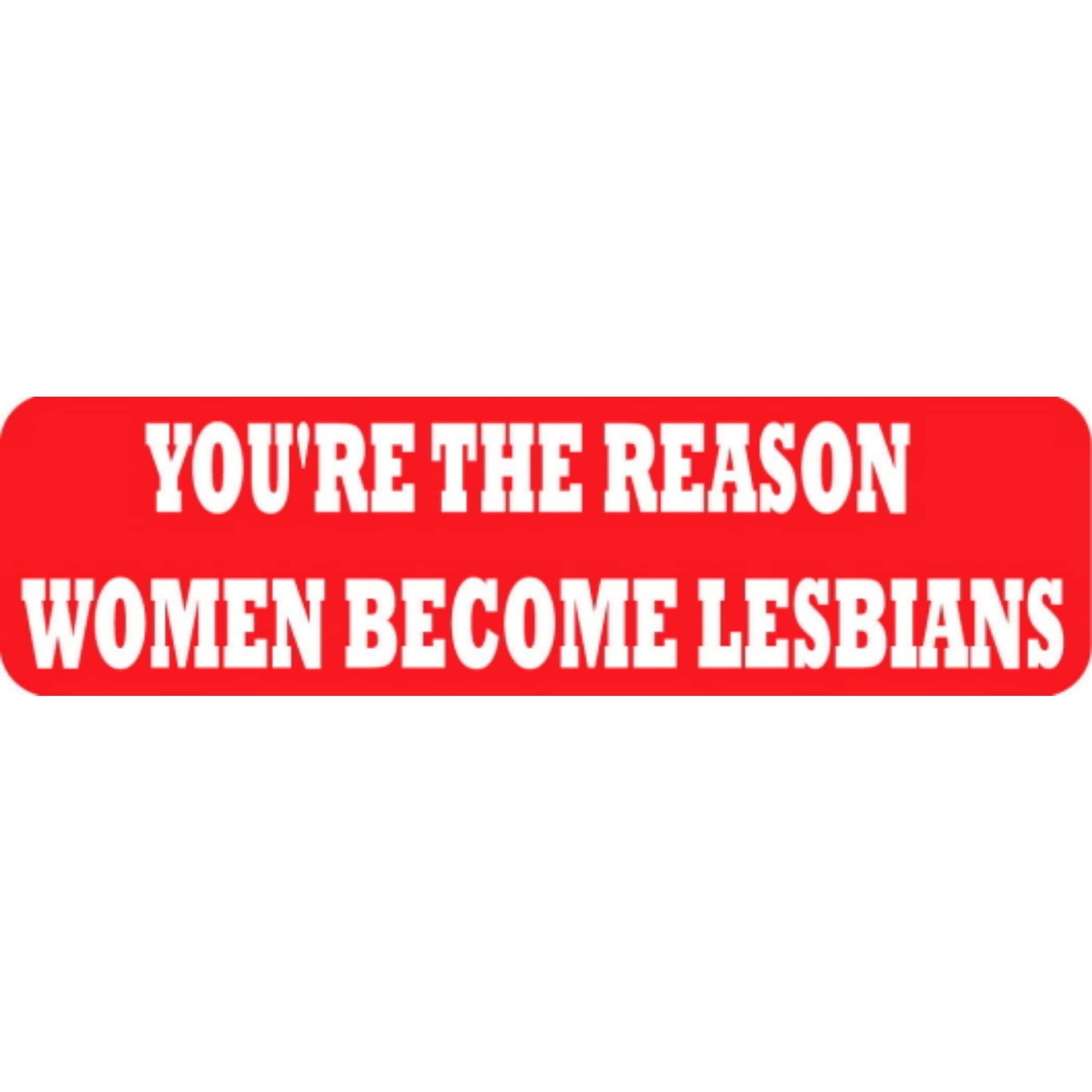 You're the reason women become lesbians vinyl motorcycle helmet stickers - funny biker decal