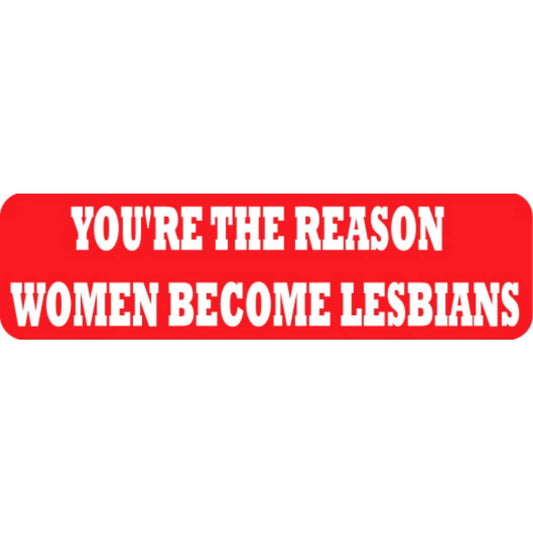 You're the reason women become lesbians vinyl motorcycle helmet stickers - funny biker decal