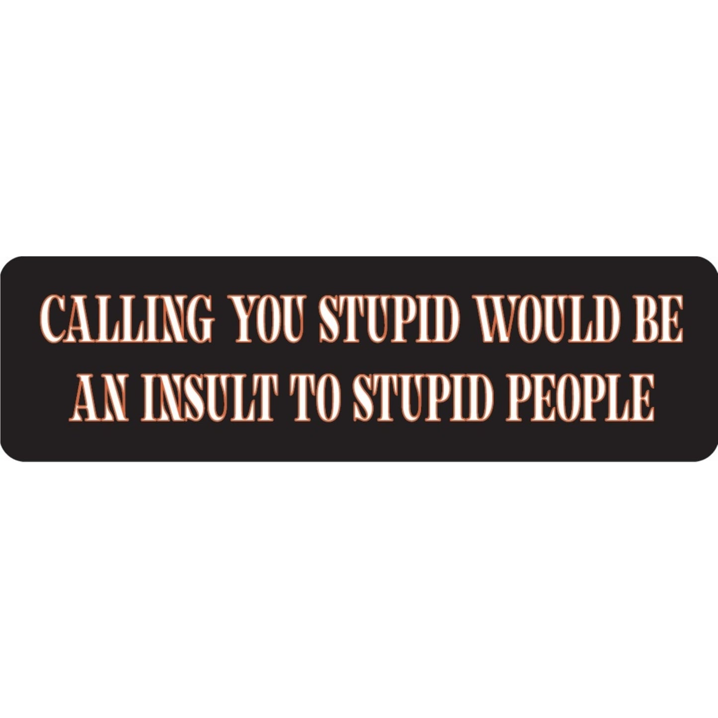 Calling you stupid would be an insult to stupid people vinyl motorcycle helmet sticker - funny biker decal