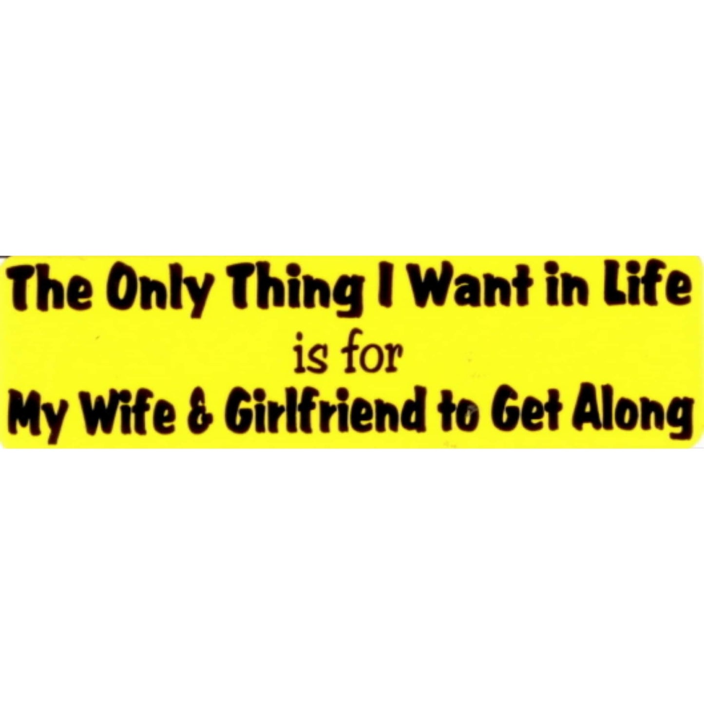 The only thing I want in life is for my wife and girlfriend to get along vinyl motorcycle helmet stickers - funny biker decal