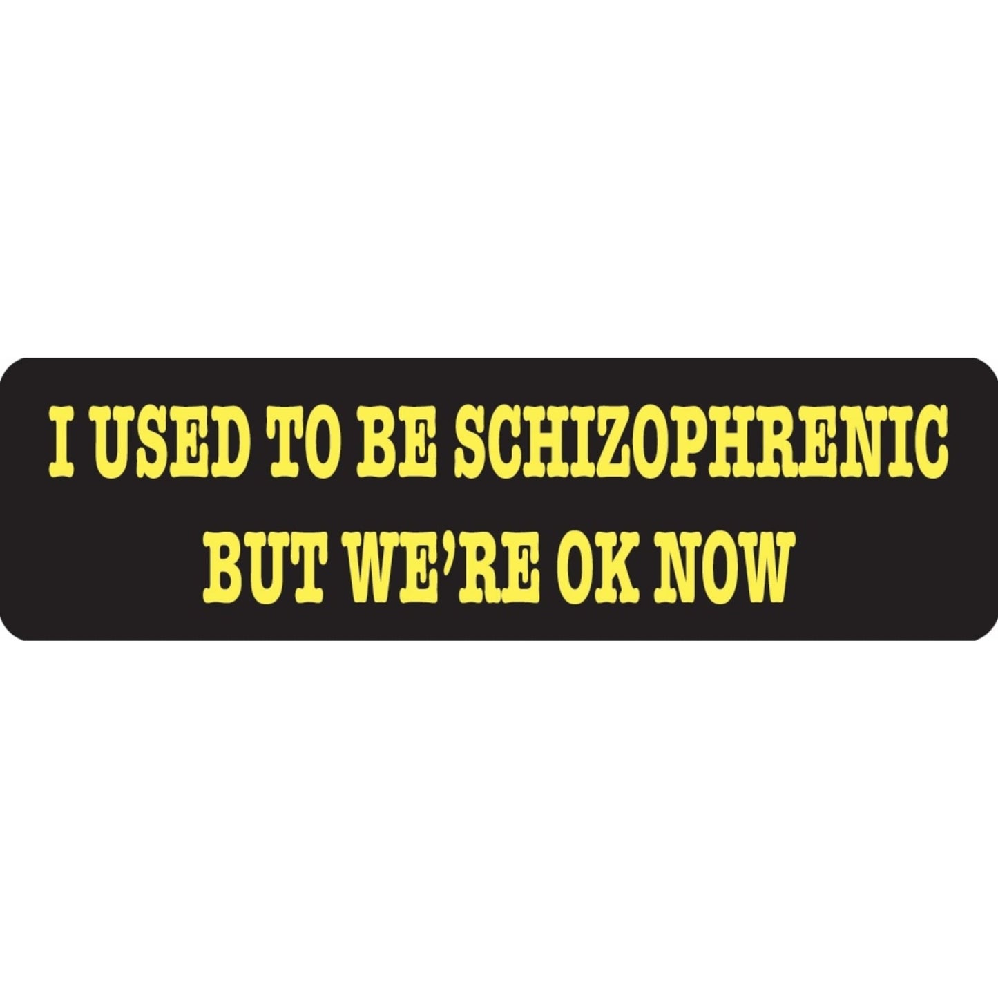 I used to be schizophrenic but we're ok now vinyl motorcycle helmet sticker - funny biker decal