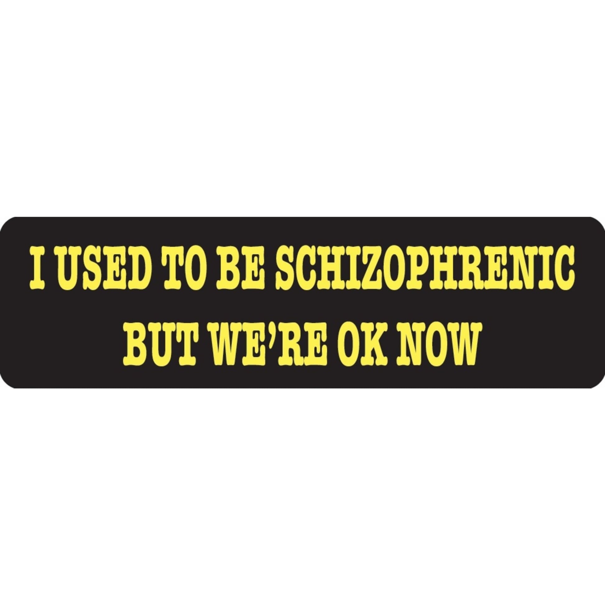 I used to be schizophrenic but we're ok now vinyl motorcycle helmet sticker - funny biker decal