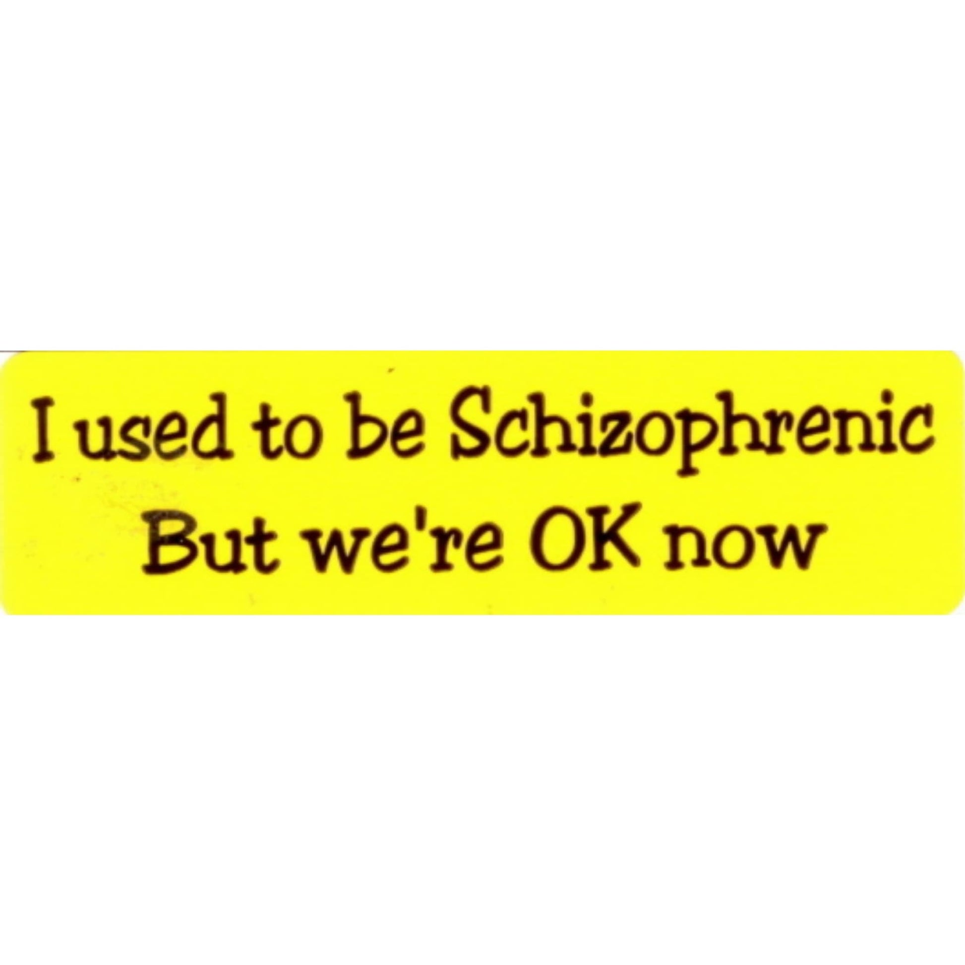I used to be schizophrenic but we're ok now vinyl motorcycle helmet stickers - funny biker decal