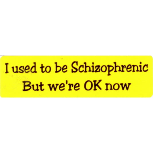 I used to be schizophrenic but we're ok now vinyl motorcycle helmet stickers - funny biker decal