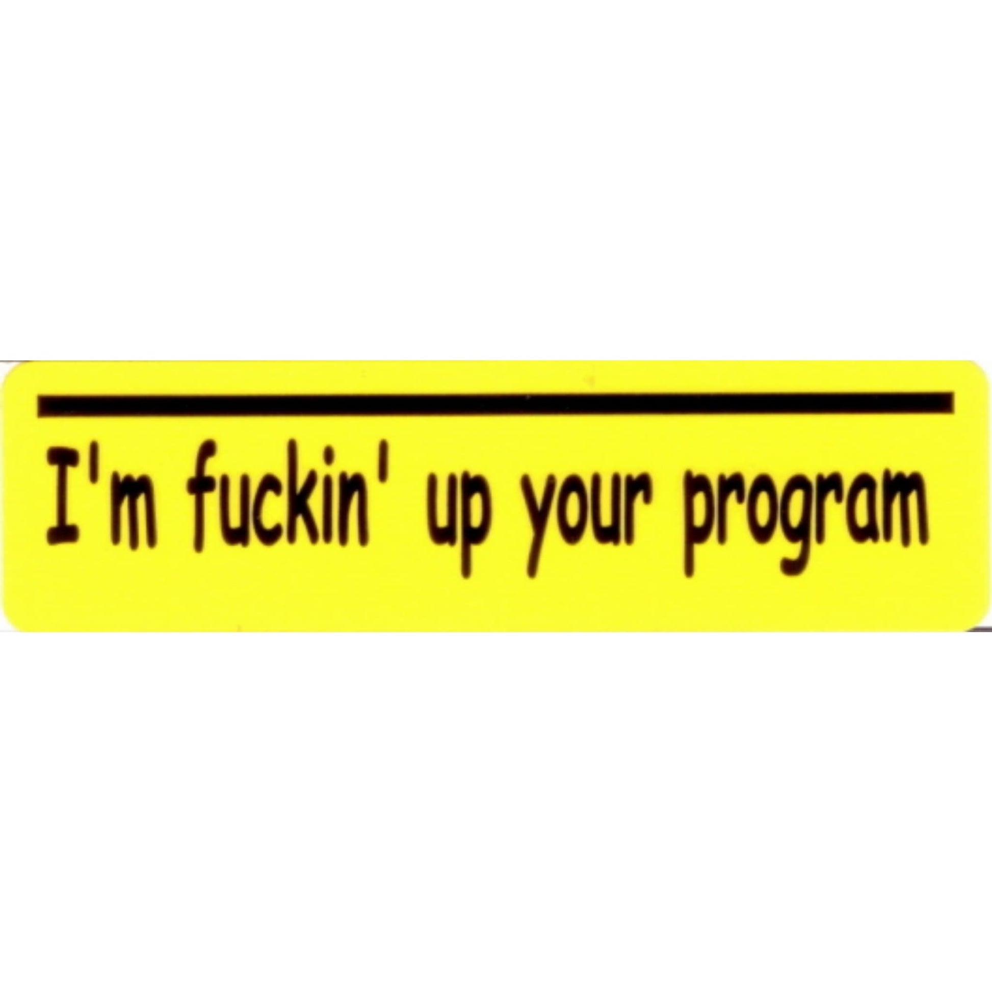 I'm fucking up your program vinyl motorcycle helmet stickers - bold biker decal