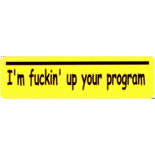 I'm fucking up your program vinyl motorcycle helmet stickers - bold biker decal