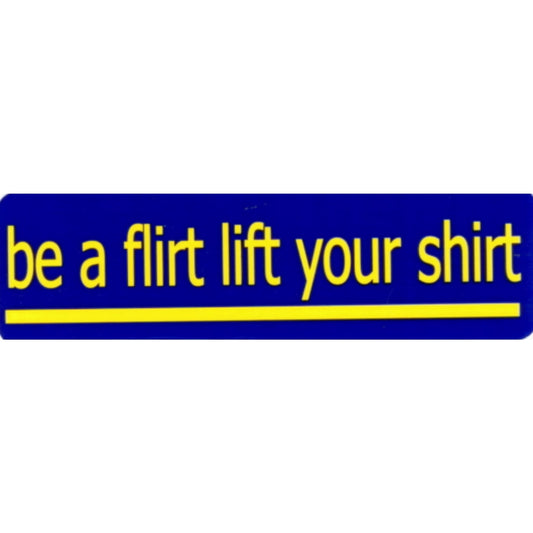 Be a flirt lift your shirt vinyl motorcycle helmet stickers - funny biker decal