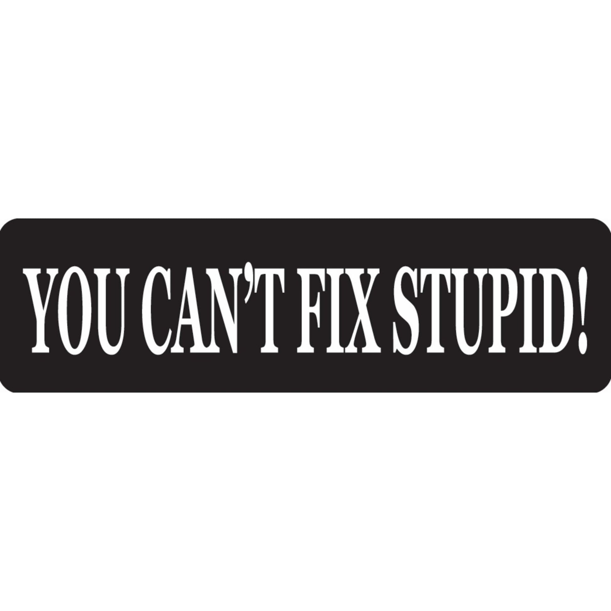 You can't fix stupid vinyl motorcycle helmet sticker - funny biker decal