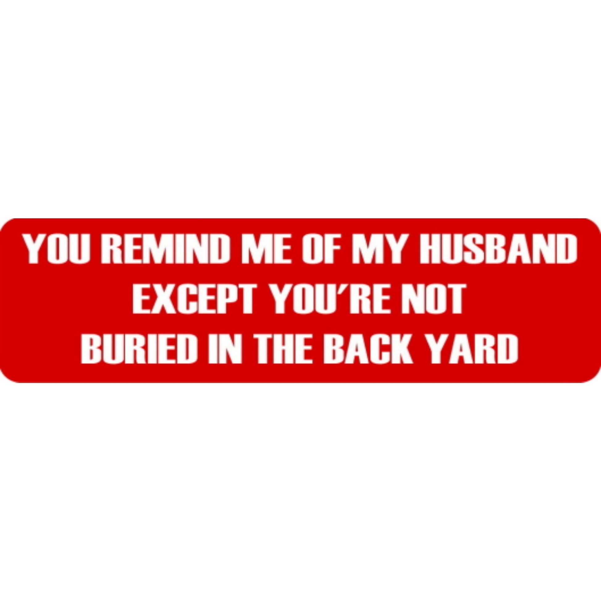 You remind me of my old man except you're not buried in the back yard vinyl motorcycle helmet stickers - funny biker decal