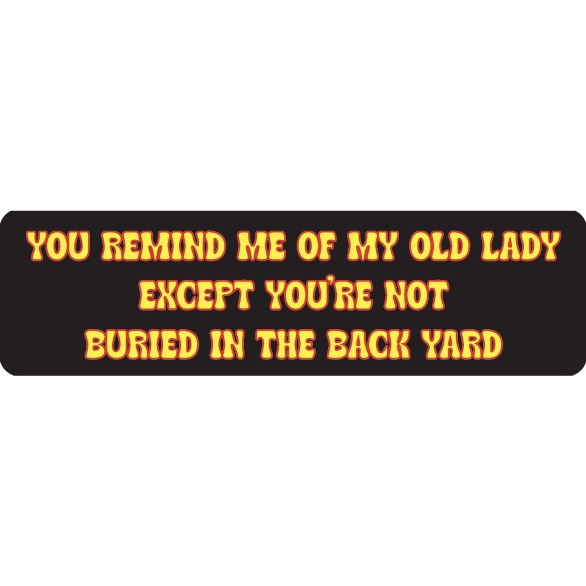 You remind me of my old lady except you're not buried in the back yard vinyl motorcycle helmet sticker - funny biker decal