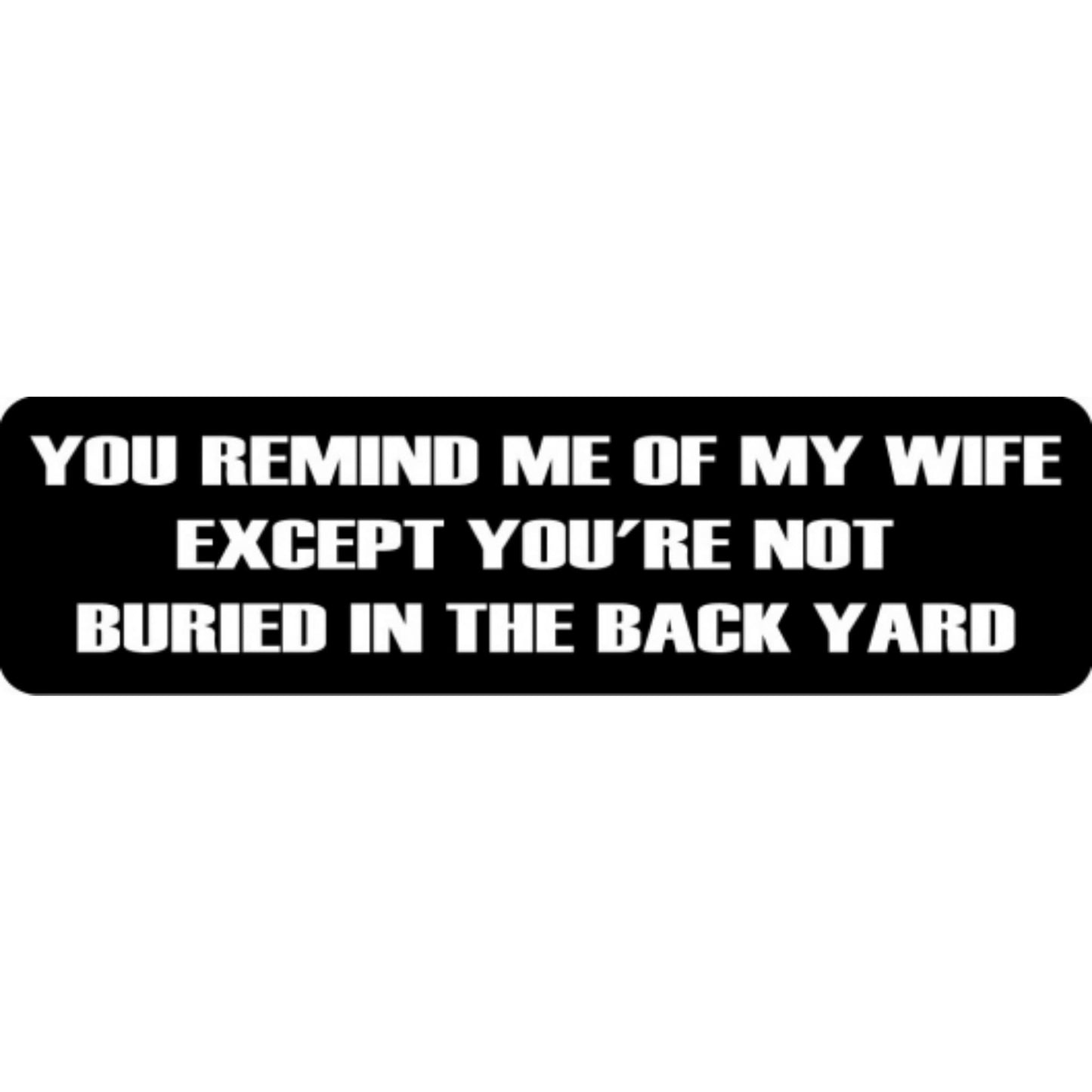 You remind me of my old lady except you're not buried in the back yard vinyl motorcycle helmet stickers - funny biker decal
