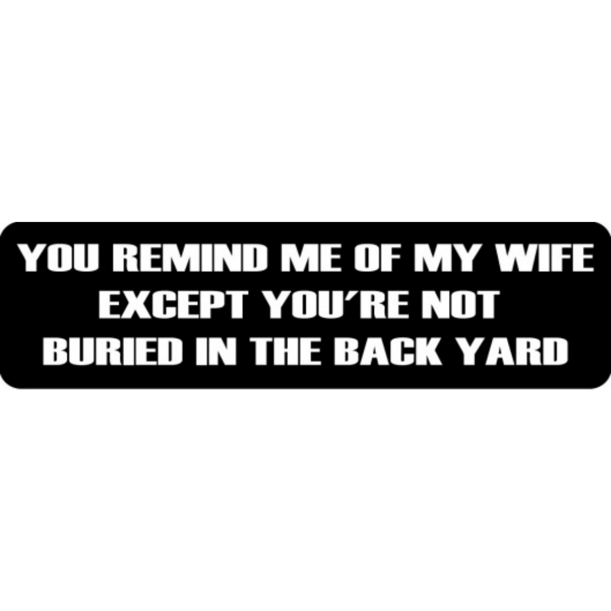 You remind me of my old lady except you're not buried in the back yard vinyl motorcycle helmet stickers - funny biker decal