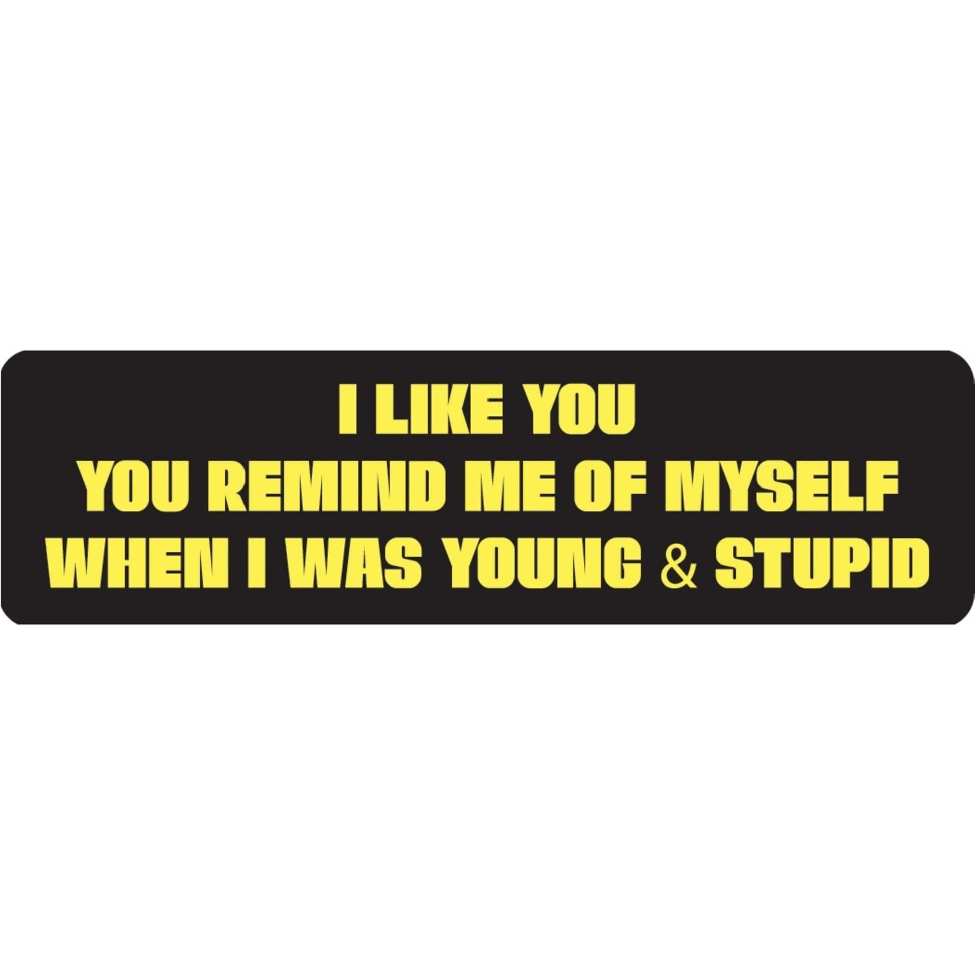 I like you you remind me of myself when I was young & stupid vinyl motorcycle helmet sticker - funny biker decal