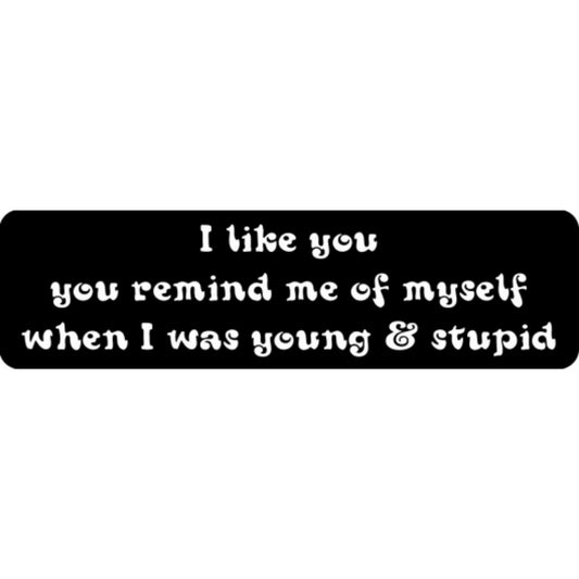 I like you you remind me of myself when I was young & stupid vinyl motorcycle helmet stickers - funny biker decal