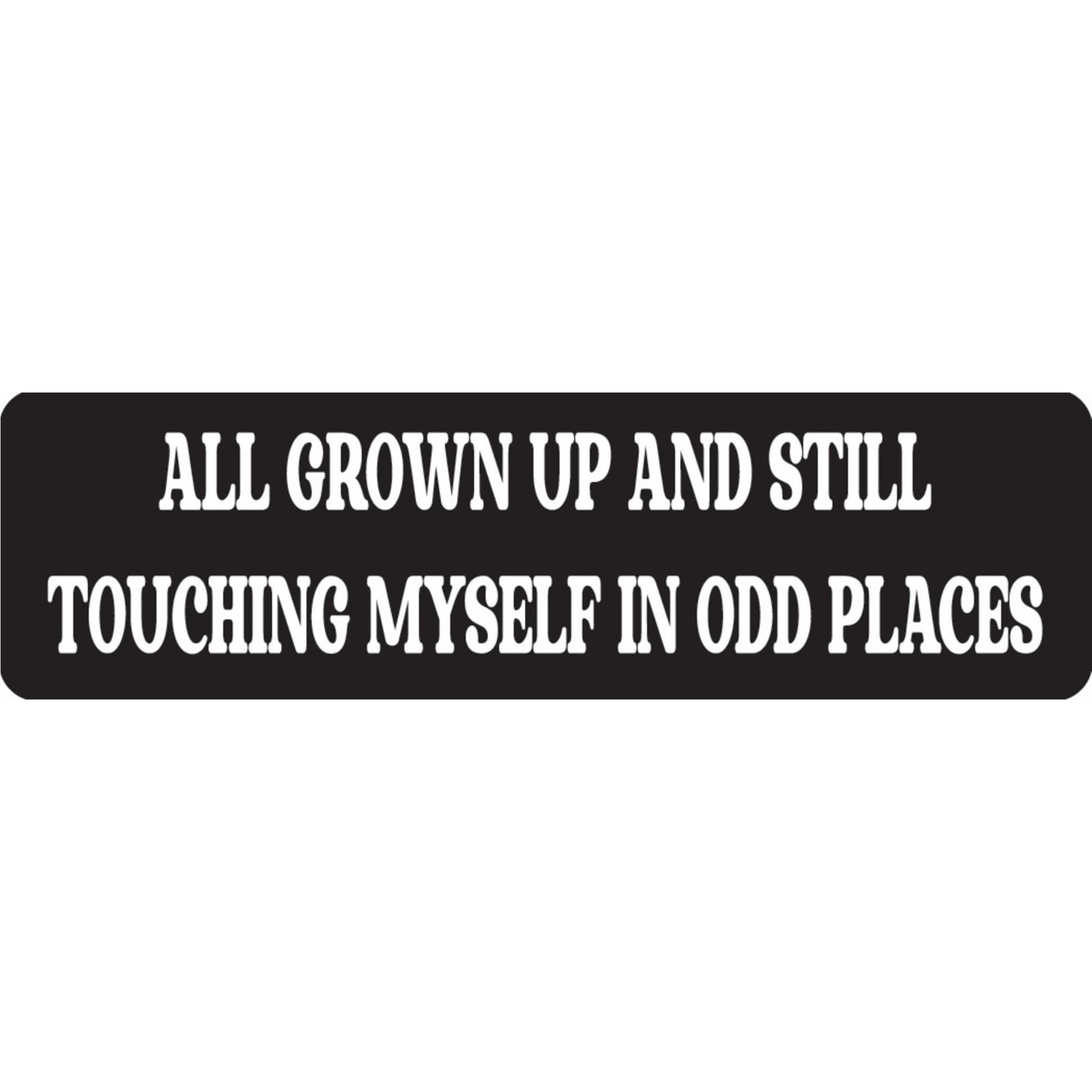 All grown up and still touching myself in odd places vinyl motorcycle helmet sticker - funny biker decal