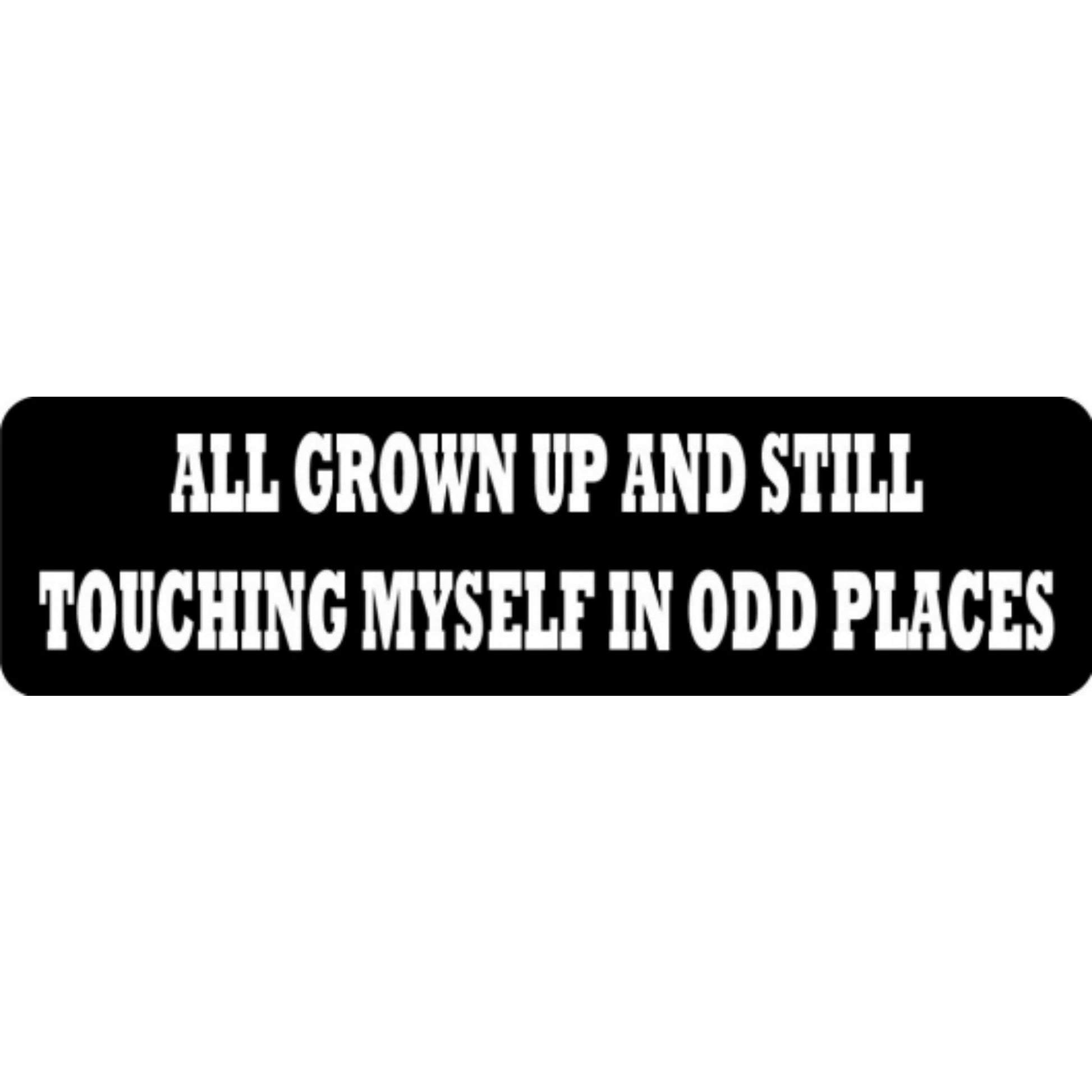 All grown up and still touching myself in odd places vinyl motorcycle helmet stickers - funny biker decal