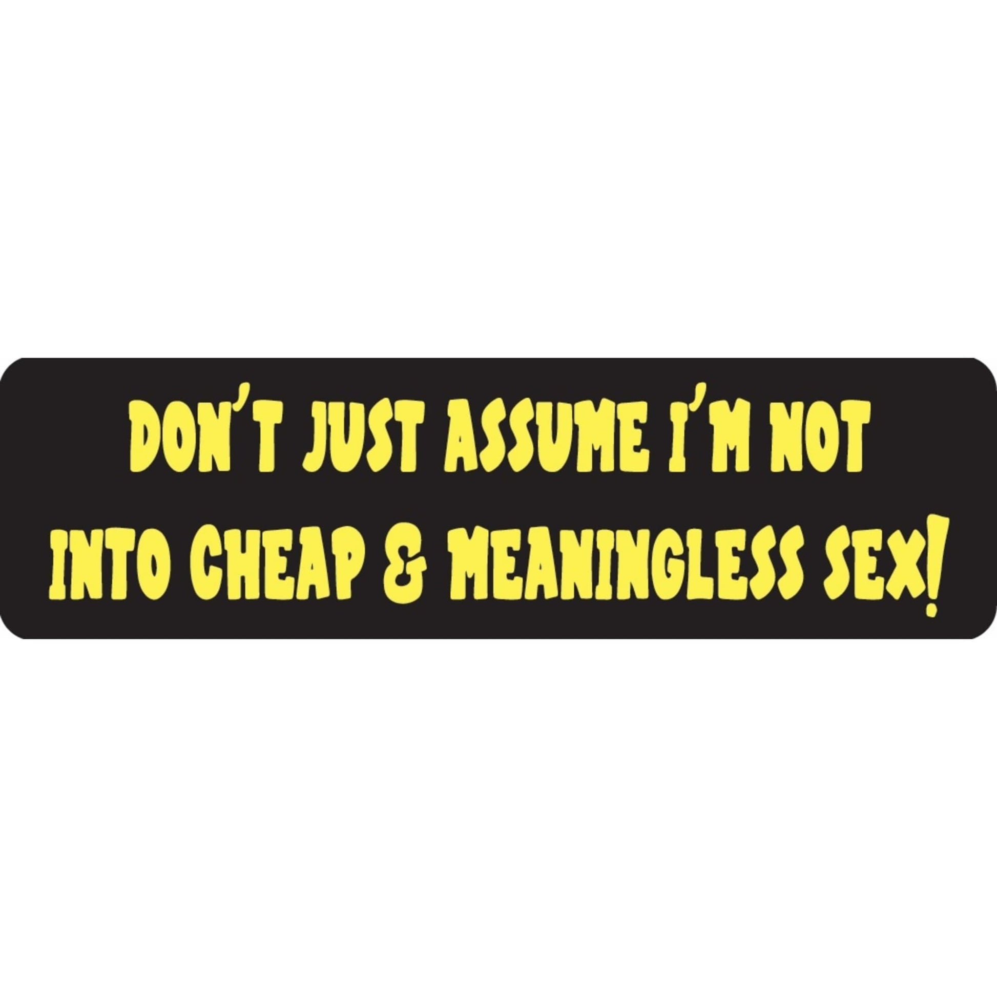 Don't just assume I'm not into cheap meaningless sex vinyl motorcycle helmet sticker - funny biker decal