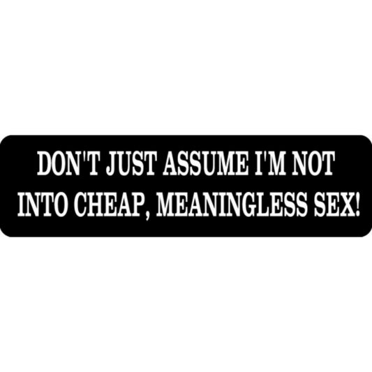 Don't just assume I'm not into cheap meaningless sex vinyl motorcycle helmet stickers - funny biker decal