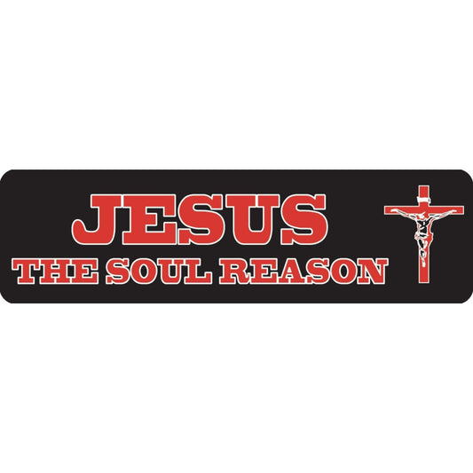 Jesus the soul reason vinyl motorcycle helmet sticker - religious biker decal