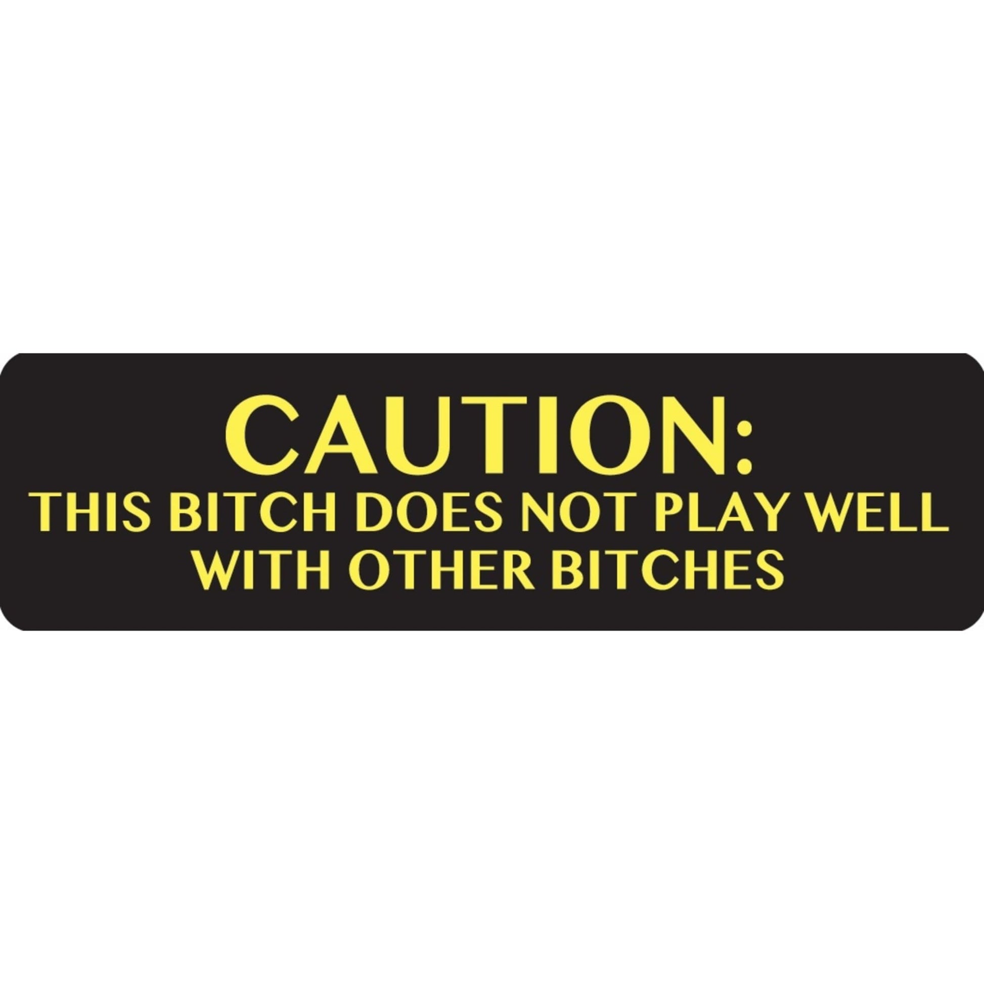 Caution this bitch does not play well with other bitches vinyl motorcycle helmet sticker - funny biker decal