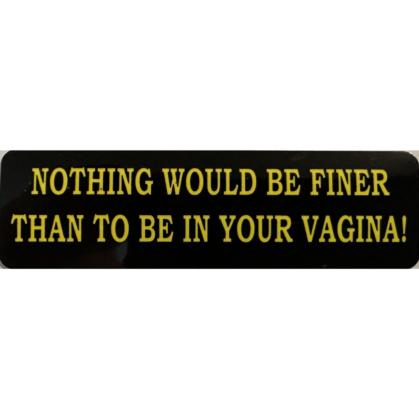 Nothing would be finer than to be in your vagina vinyl motorcycle helmet stickers - funny biker decal