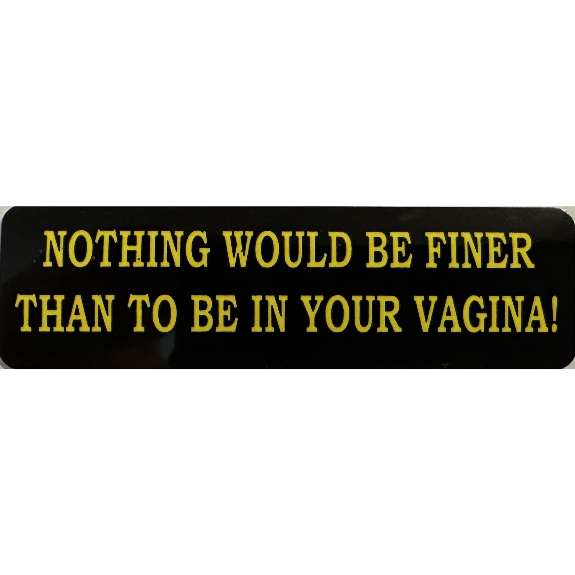Nothing would be finer than to be in your vagina vinyl motorcycle helmet stickers - funny biker decal