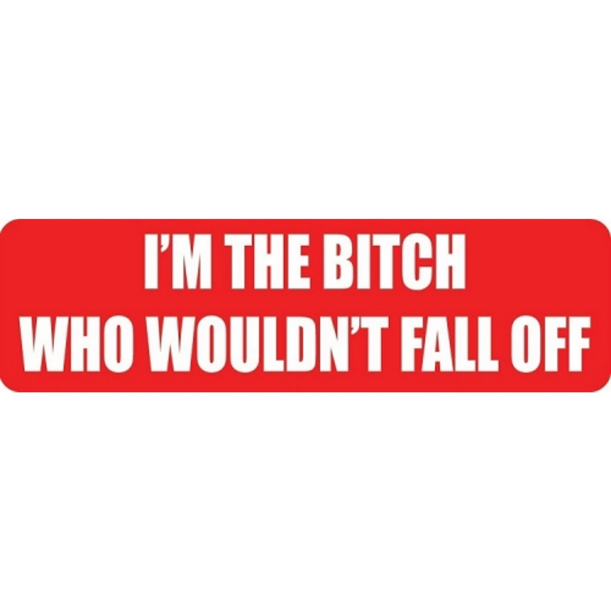 I'm the bitch who wouldn't fall off vinyl motorcycle helmet stickers - funny biker decal